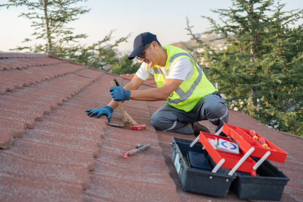 Roof Gutter Cleaning in Mountain Brook, AL
